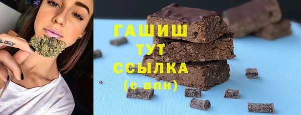 индика Новодвинск