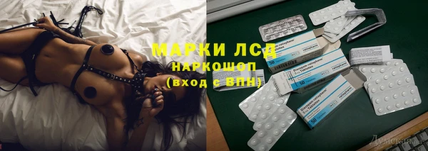 гашик Нефтекумск