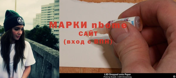 индика Новодвинск