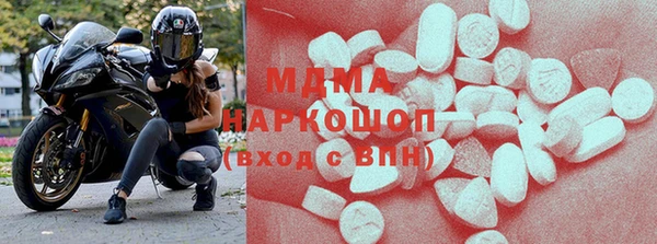 индика Новодвинск