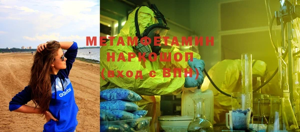 индика Новодвинск