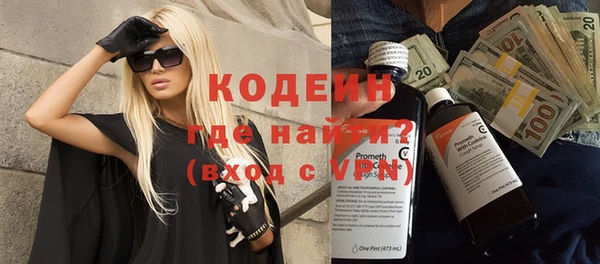 индика Новодвинск