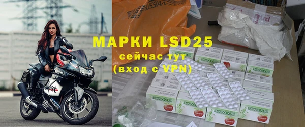 индика Новодвинск