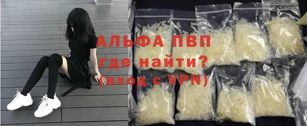индика Новодвинск
