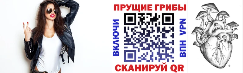 Галлюциногенные грибы MAGIC MUSHROOMS  купить закладку  Серафимович 